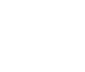 Salient Industries Limited Logo